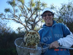 DSC02116.JPG